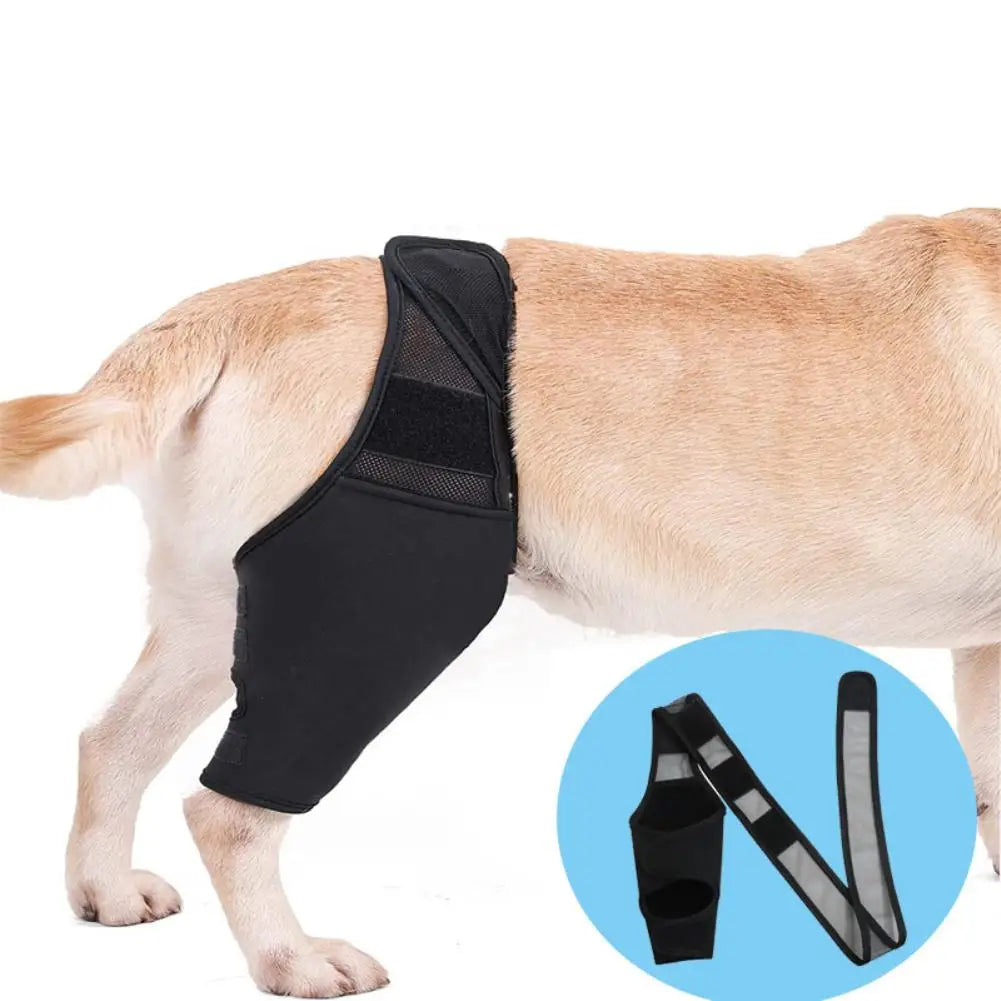 Pet Dog Knee Brace for Joint Pain Muscle Sore Leg Brace Rear Leg Bracer Support for Elderly Disabled Injured Dogs